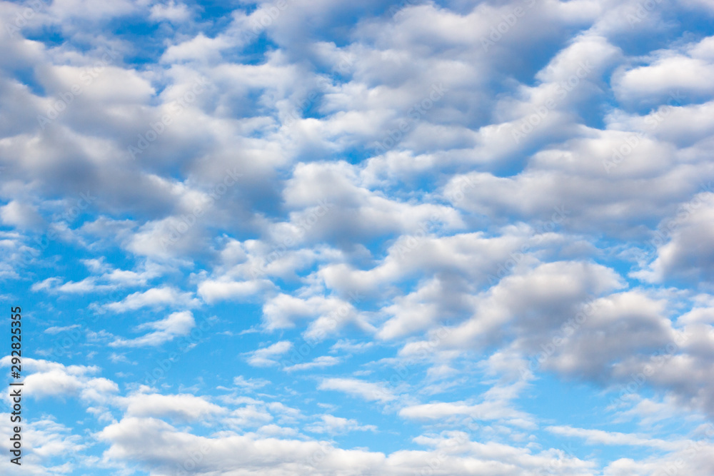 clouds of an average tier high cumulus, on a blue background of the sky clouds of an average tier high cumulus, on a blue background of the sky