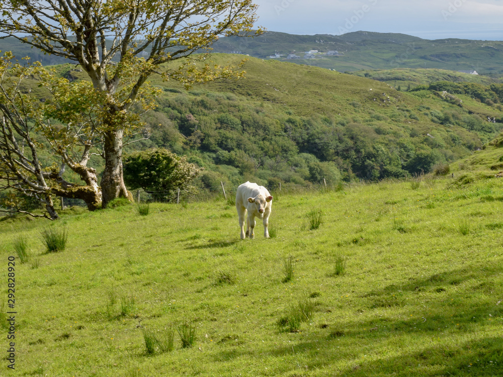 Naklejka premium beautiful summer landscape with sheep, mountain pastures