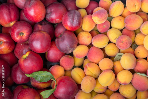 Ripe sugar sweet nectarines  peaches and apricots at a crate on stand at the marketplace.