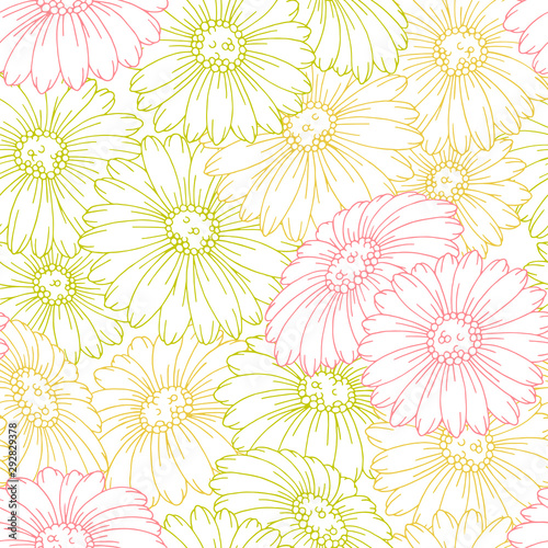 Chamomile flower graphic color seamless pattern background sketch illustration vector