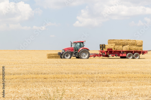 Tractor collecting straw bales during harvesting in the field at nice blue sunny day.