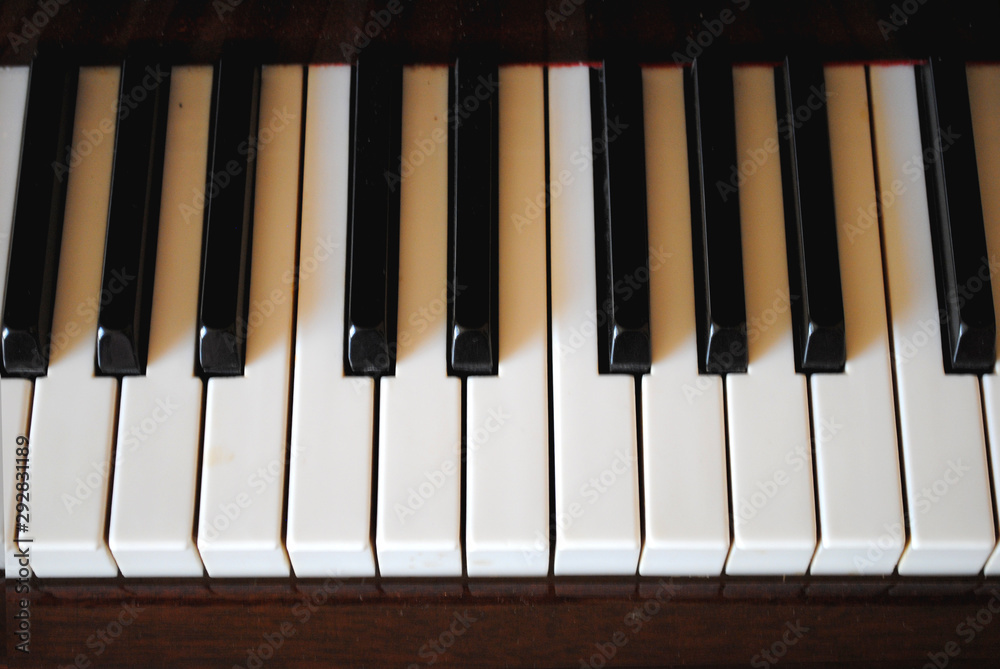 Piano Keyboard (Piano) Piano Keyboard (Piano)