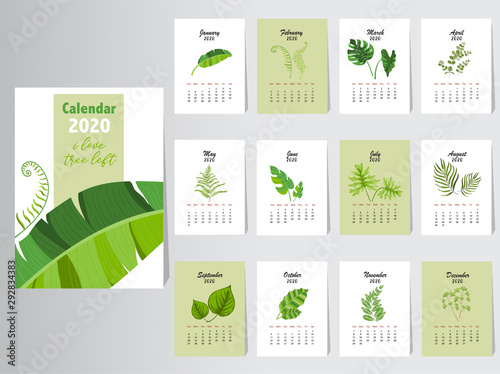 Calendar 2020 design,The year of the pig monthly cards templates,Set of 12 month,Monthly,cool,Vector illustrations