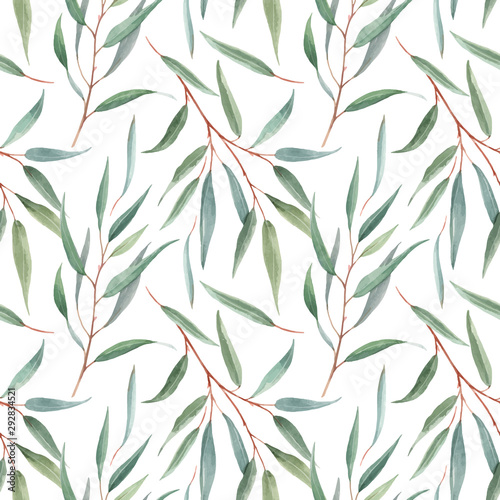 Watercolor australian floral vector pattern