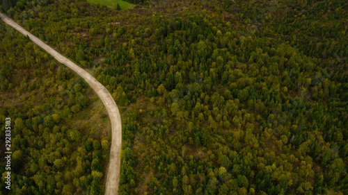 Aerial view of Forest destruction, Deforestation, Environmental problem.