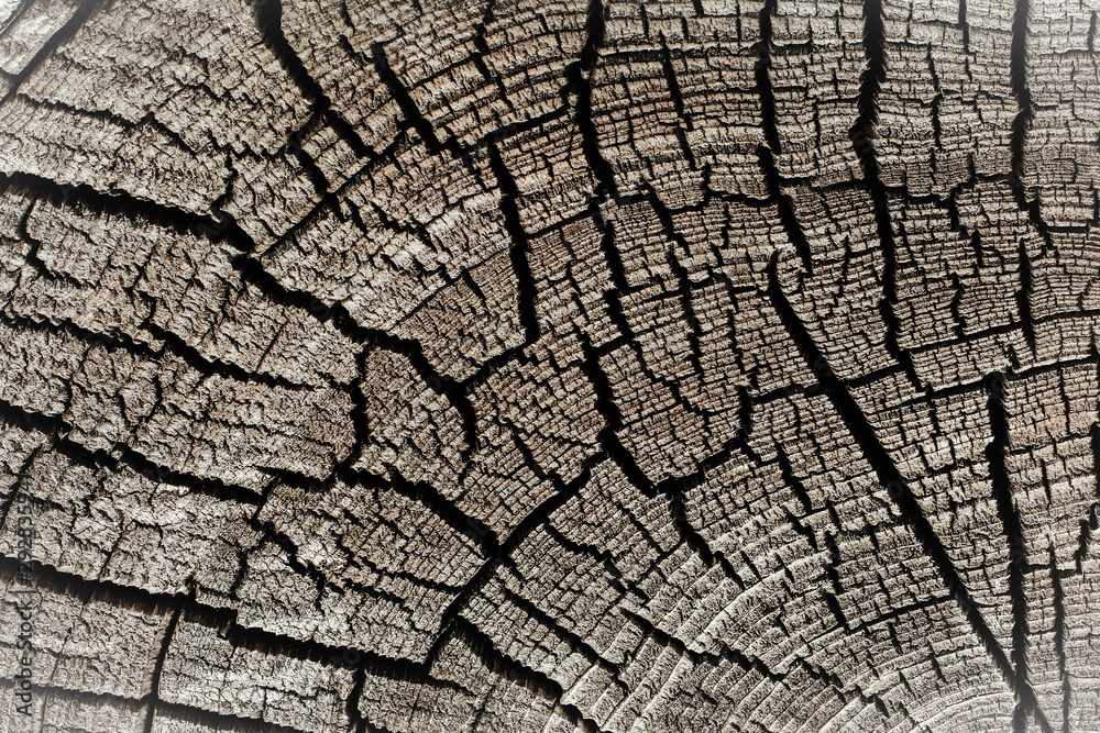 Abstract texture with cracks. Old uneven surface. Abstract texture with cracks. Old uneven surface.