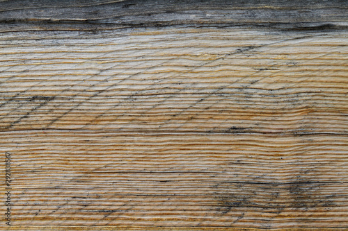Old textured pine board with cracks. Natural background. Close up.