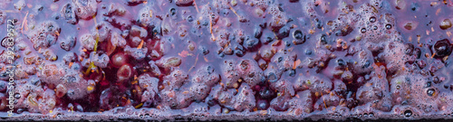 Фотография Wine material, grape juice - must, stum, maun