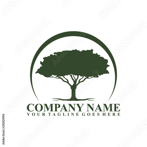 Tree logo design. Tree of life logo design isolated on white background.