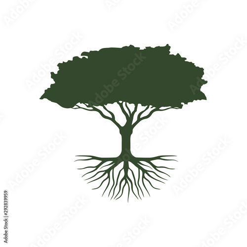 Tree logo design. Tree of life logo design isolated on white background.