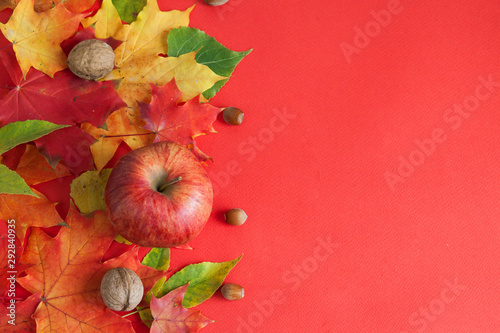 Autumn background with leaves and aplles over red background with copy space photo