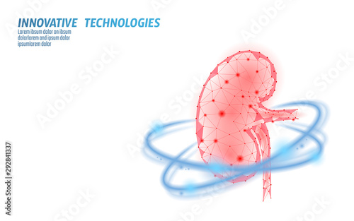 Healthy kidney internal organ 3d low poly geometric model. Urology system medicine disease treatment. Future science technology glowing arrows vector illustration