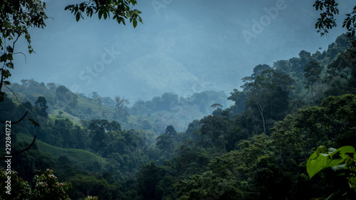 Vue sur la jungle colombienne photo