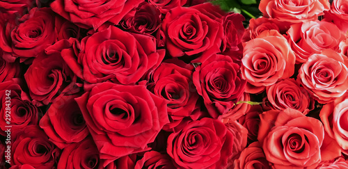 Bunch Of Red Roses background Valentine's Day