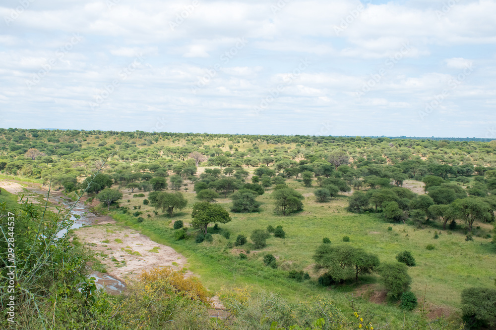 Safari Tanzania