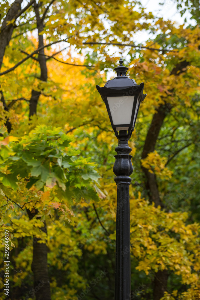 Street lamp in the thicket of the autumn city Park. Early autumn in cloudy weather.Concept: lyrical mood.