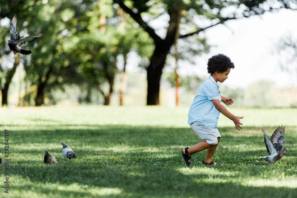 Fototapeta premium adorable african american kid gesturing while looking at pigeons