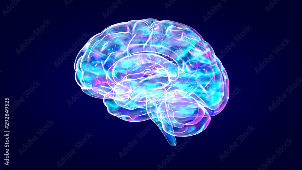 Brain xray, human anatomy, 3D Illustrated neurons Brain xray, human anatomy, 3D Illustrated neurons