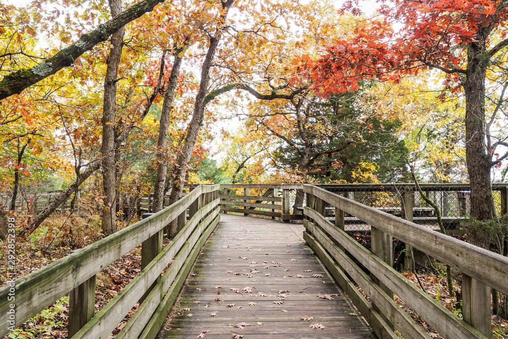 Obraz premium starved rock canyon