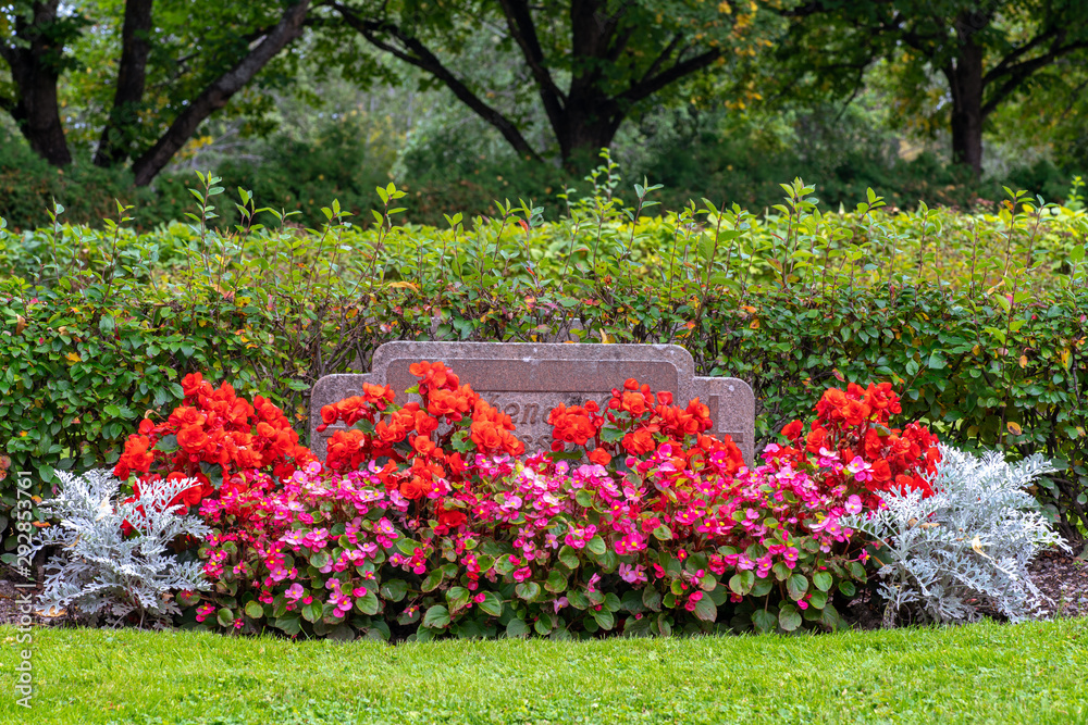 Grave stone with beautiful pink and red flowers Grave stone with beautiful pink and red flowers