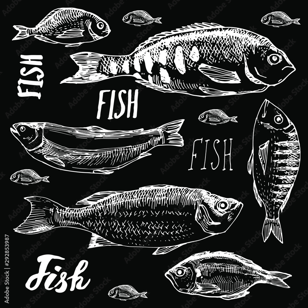 Fish seafood set line art. Hand drawn doodle collection. Stock
