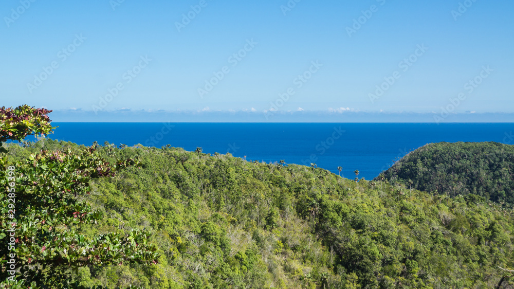 Panoramic view over the jungle at Cuba's coast.