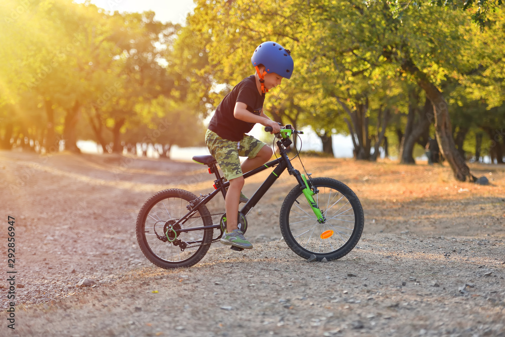 Obraz premium Happy kid boy of 7 years having fun in autumn park with a bicycle on beautiful fall day. Active child wearing bike helmet
