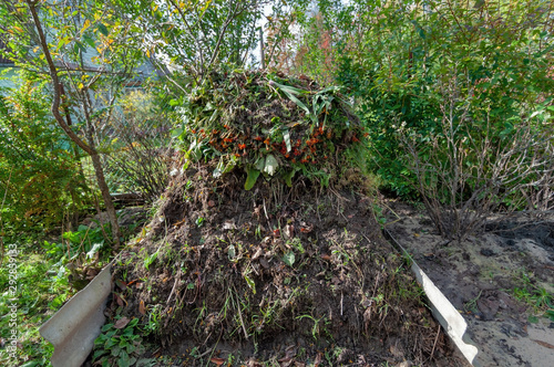 Autumn cleaning in the garden, a large compost pile of various plants