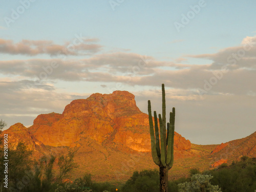 desert