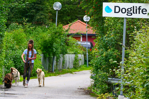 Photography Stockholm, Sweden A daycare center for dogs and their trainers or keepers,