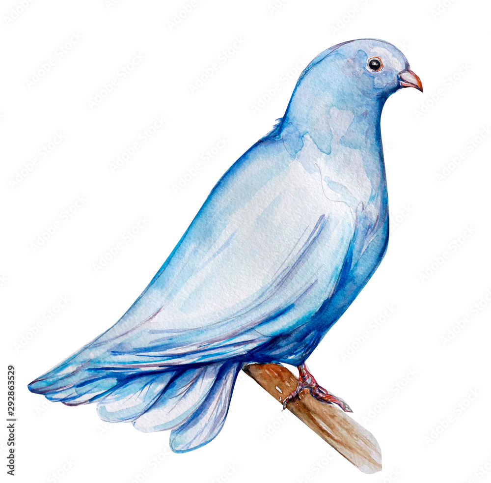 bird coloring pages - Clip Art Library