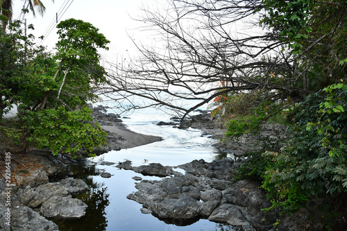 river in forest, photo as a background taken in Nicoya, Costa rica central america , montezuma beach photo