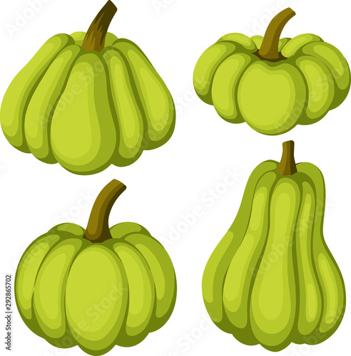Set of the different form and color pumpkin cartoon style, vector illustration. elements for autumn decoration