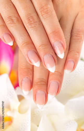 Beautiful woman s nails  french manicure  close-up.