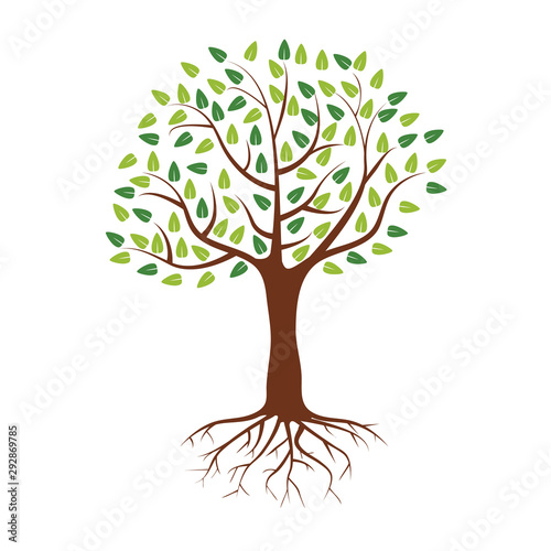 Plain Tree with green leaves and roots with flat and solid colors for your design. Vector illustration.