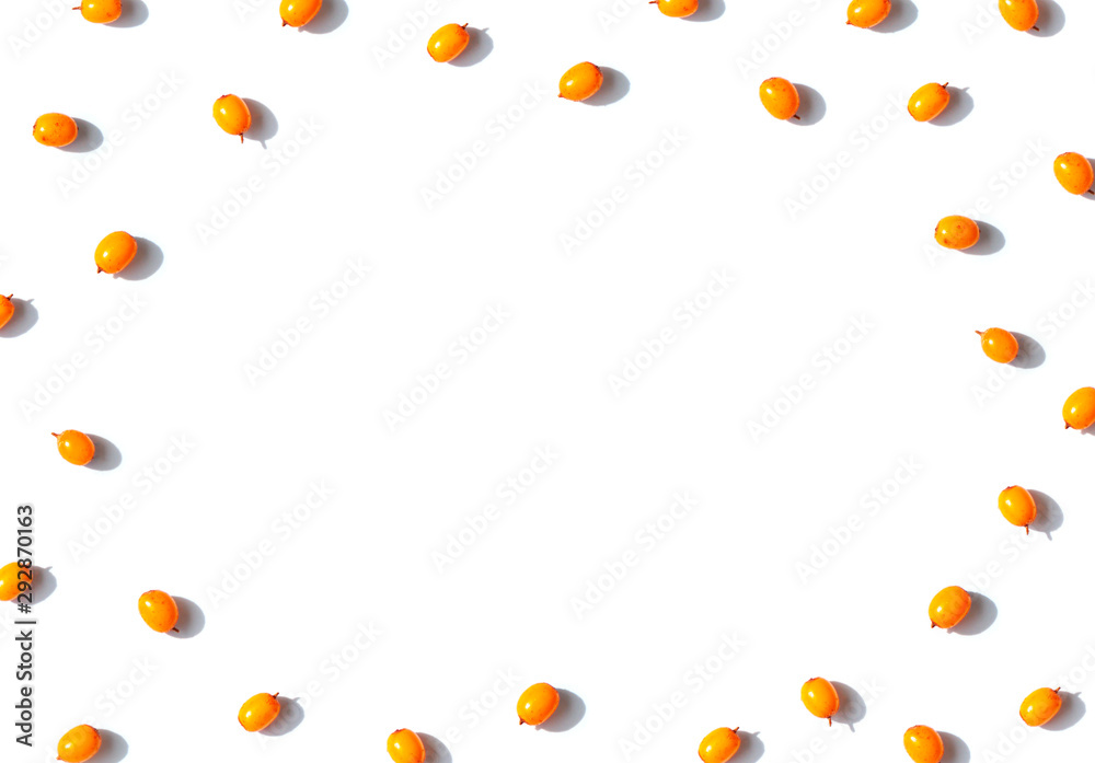 Sea buckthorn seamless contrast frame with shadows on the white background. Top view. Copy space Sea buckthorn seamless contrast frame with shadows on the white background. Top view. Copy space