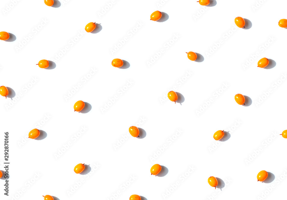 Sea buckthorn seamless contrast pattern with shadows on the white background. Top view Sea buckthorn seamless contrast pattern with shadows on the white background. Top view