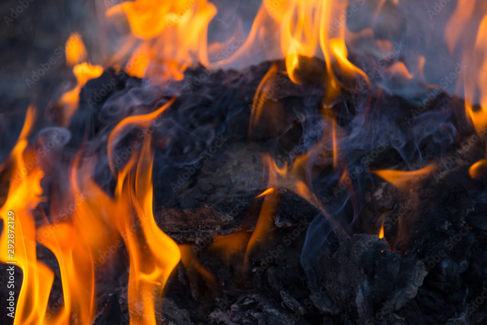 Dry grass burns in a field with smoke and fire. Dry grass burns in a field with smoke and fire.
