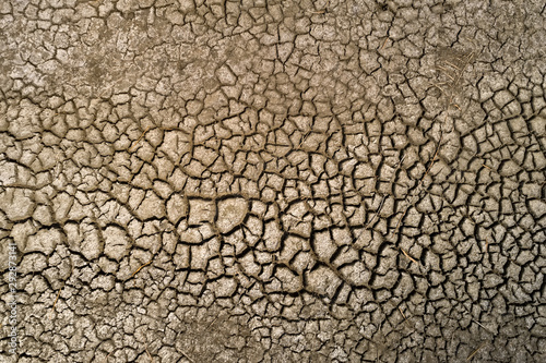 Dry lake bed with natural texture of cracked clay in perspective floor