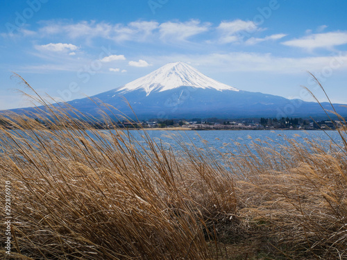 Natural landscape view of the Kawaguchi Lake with mount Fuji-the most beautiful vocano in Japan and grass field in foreground in Japan photo