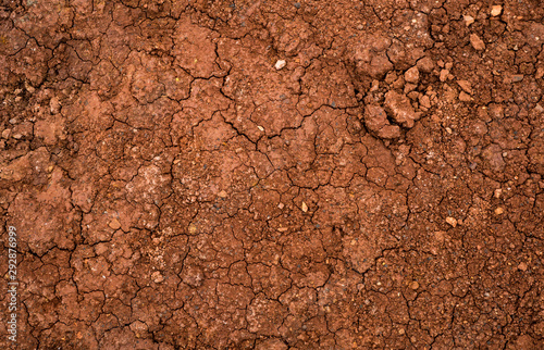 Texture of dried cracked clay. Macro background image of dried clay