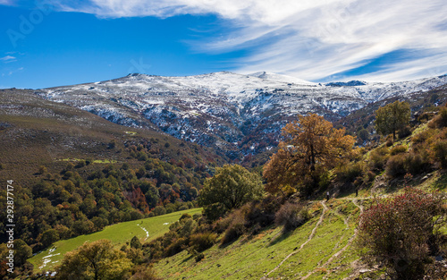 El bosque encantado trail. Sierra Nevada natural park, Granada, Spain.