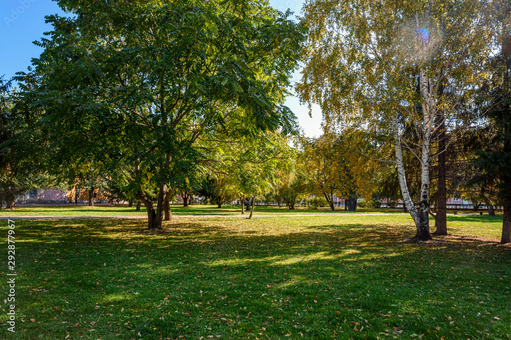 city autumn Park with trees and fallen leaves on the alleys and the ground city autumn Park with trees and fallen leaves on the alleys and the ground