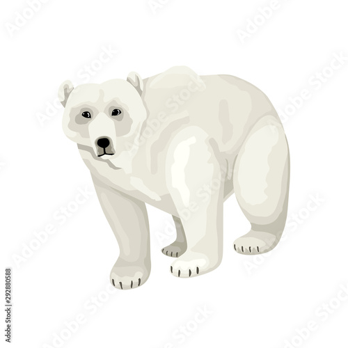 White polar bear. Vector isolated character on white background.