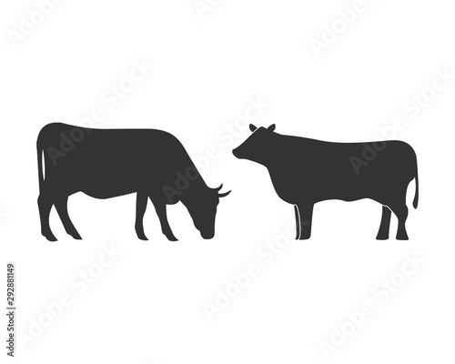 Cow graphic design template vector isolated illustration