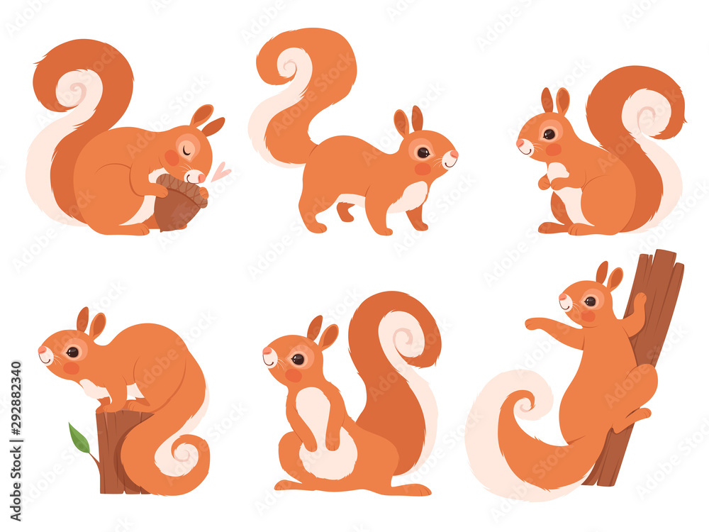 Cute squirrel. Zoo little forest animals in action poses wildlife squirrel  vector cartoon character. Funny character squirrel in various pose  illustration Stock Vector | Adobe Stock
