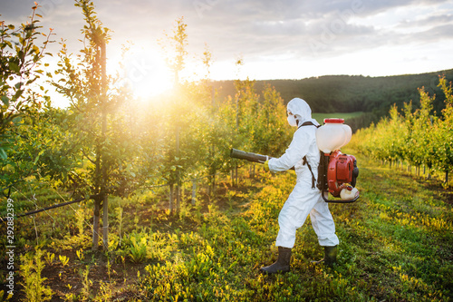 Φωτογραφία A farmer outdoors in orchard at sunset, using pesticide chemicals