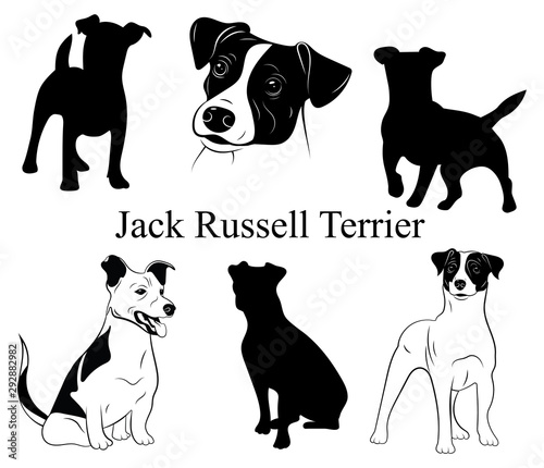 Rough Coated Jack Russell Terrier Parson Dog with Heart Temporary Tatt –  Sniggle Sloth