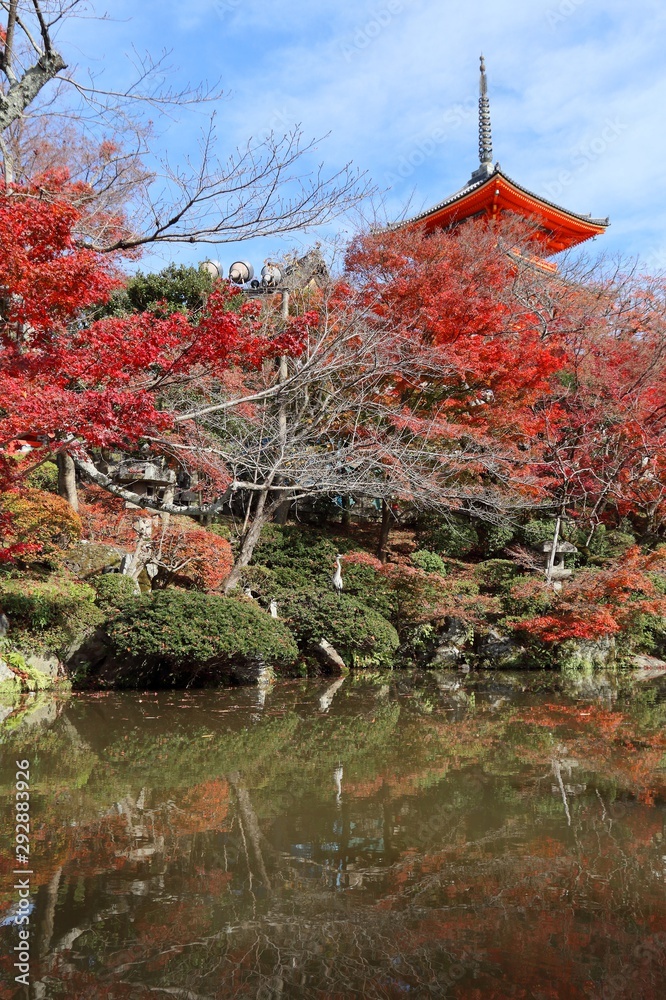 Japanese garden autumn