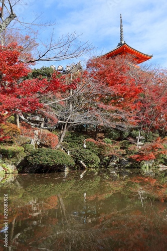 Japanese garden autumn